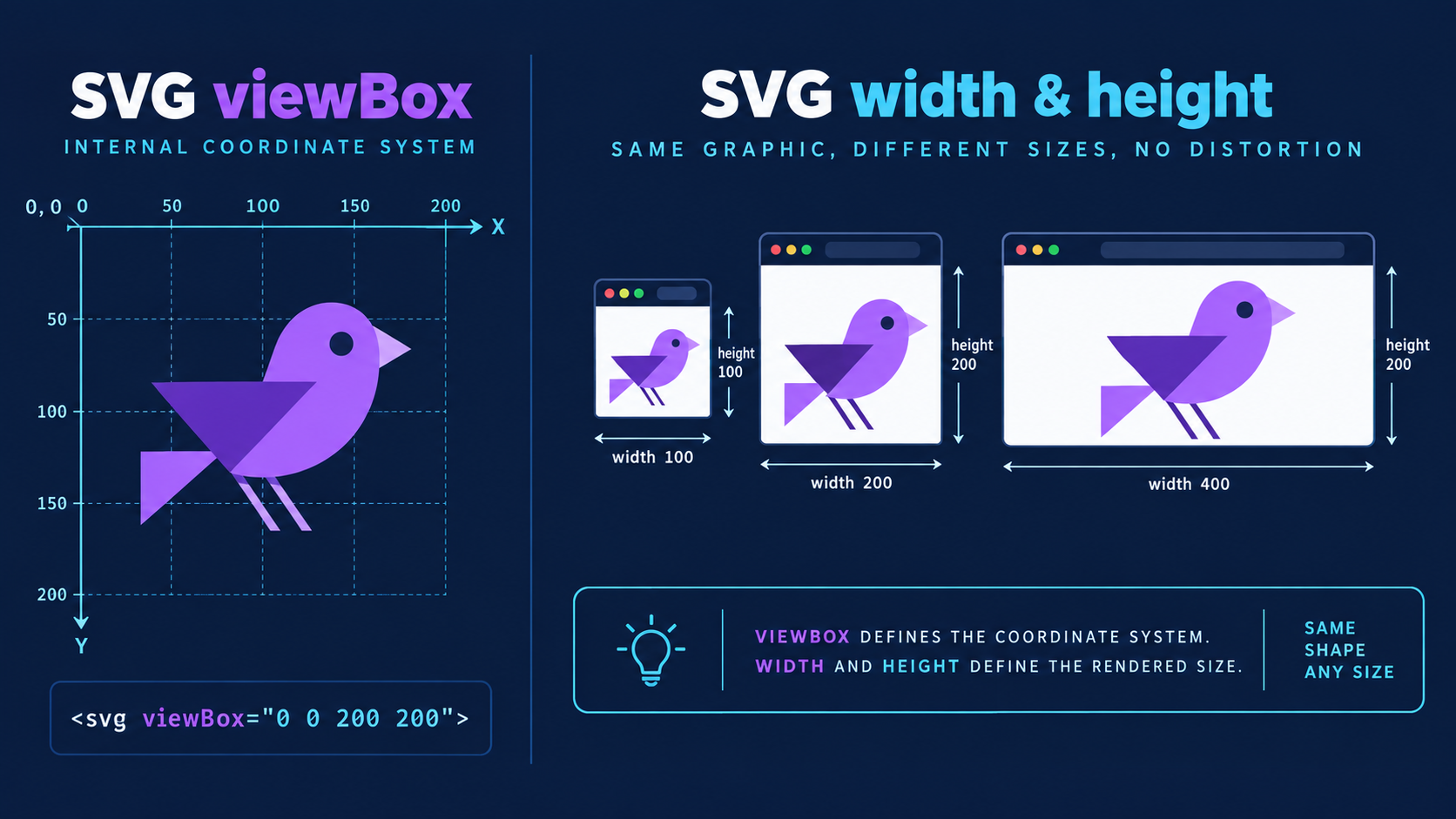 Diagram comparing an SVG viewBox coordinate grid with width and height across responsive browser viewports